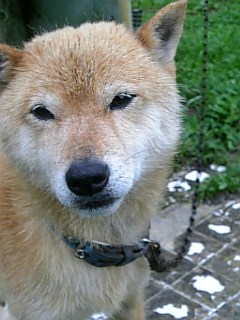 20090721ƦϺ