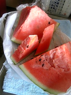 20090817スイカ