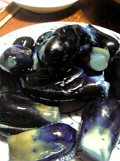 20090817ナスがっこ