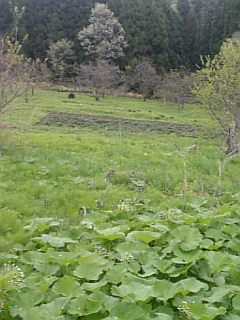 2010513դȪȥ٥Ȫ