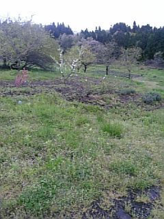 20100513