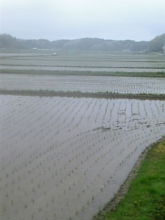 2010513Ŀ