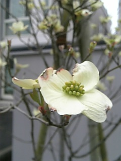 2010513ϥʥߥ