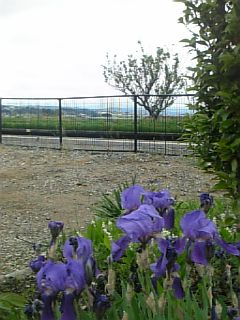 20100525ŹıؤΥꥹ