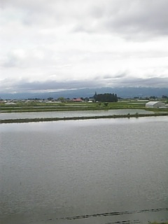 2010525ΤĮ