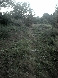 20100915草刈り後5