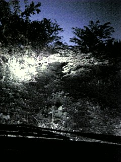 20100915草刈り後7