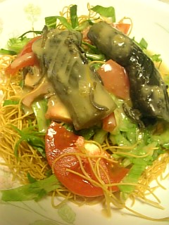 20100915メンサラダ