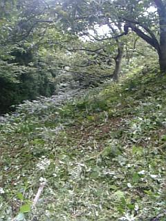 20100920草刈り後