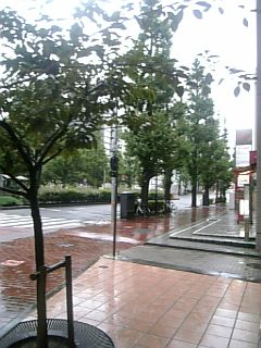 20101010̤