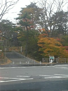 20101116千秋公園の紅葉