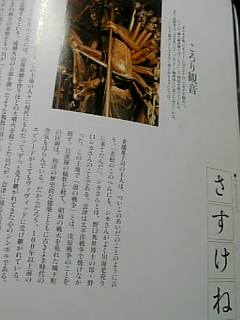 20101116さすけね