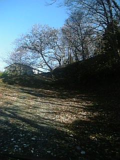 20101127�����餷���Ķ�