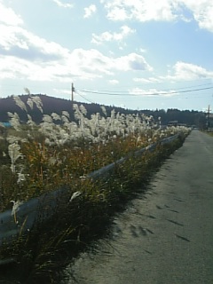 20101127������