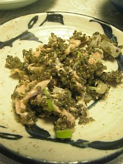 20101127�ȥ�֥ꥷ��������