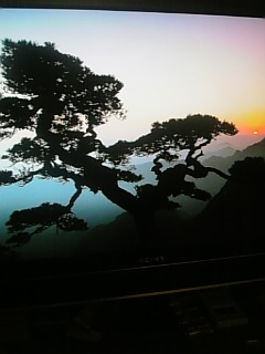 20101127����������1