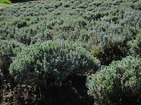 20101127��٥������Ȫ091