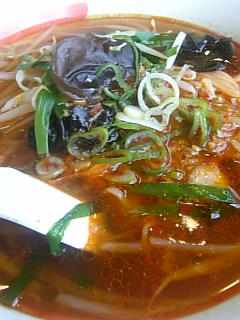 20101204台湾風辛子ラーメン