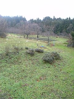 20101214Ѥ2