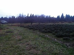20101214٥Ȫ2
