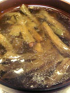 20101214ɥ饤Υ