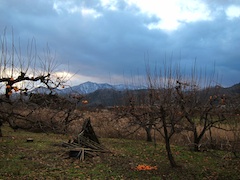 20101204会津の風景011