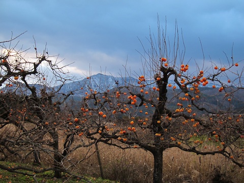 20101204会津の風景013