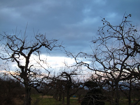 20101204会津の風景027