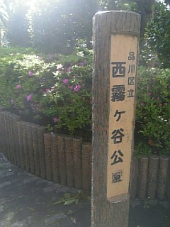 20110428西霧ケ谷公園1