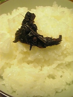 20110512フキの佃煮ご飯