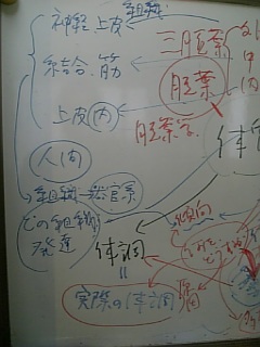 20110612��ʪ��ˡ�Υ��ߥʡ�1