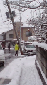 20120131Ťμ²Ǥλ