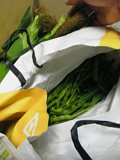 20120724�ȥ���������Ȼ�Ʀ