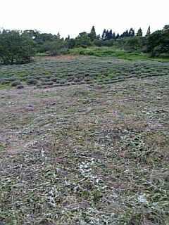 20120724��٥������Ȫ2