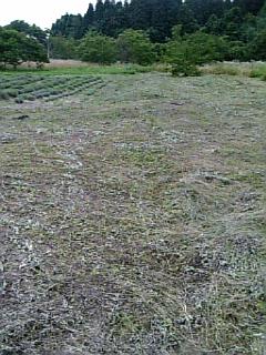 20120724��٥������Ȫ3