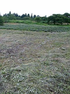 20120724��٥������Ȫ4