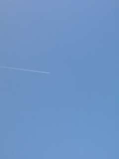 20130317֥롼