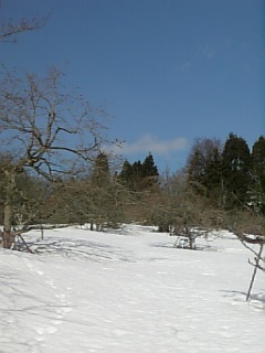 20130317ͻ4