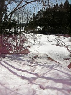20130317ͻ6