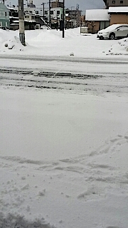 20140211外の様子朝1