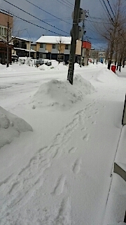 20140211外の様子朝2