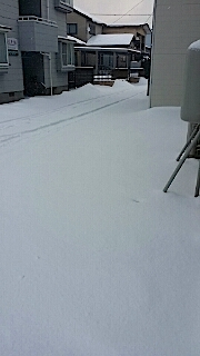 20140211雪寄せ1