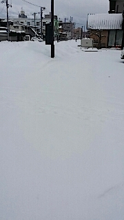 201401211雪寄せ4