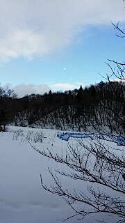 20140211山の様子