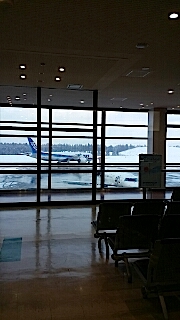 20140211ANA東京行き