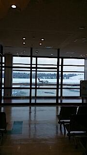 20140211JAL札幌行き