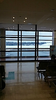 20140211JAL秋田着陸