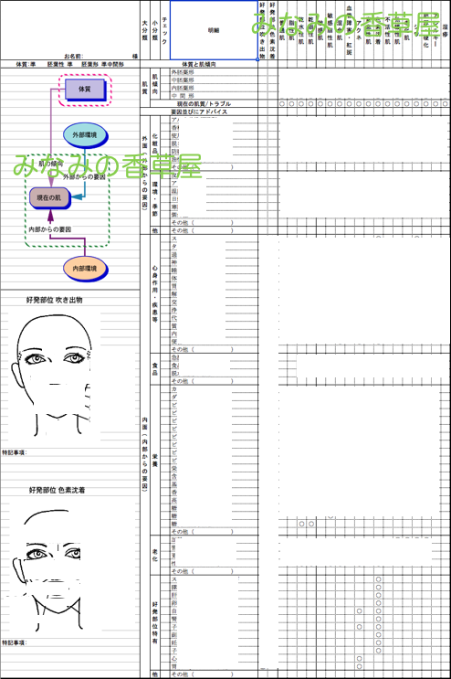 20161208SkinTypeAnalysis