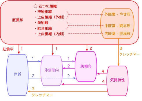 20180417PhytotherapyConcept