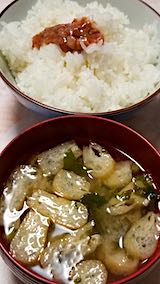 20200105դȤ纬դäѤΤߤ